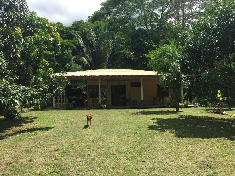 Вілла Casa A 26 Kilometros De Jaco Rodeado De Naturaleza Екстер'єр фото