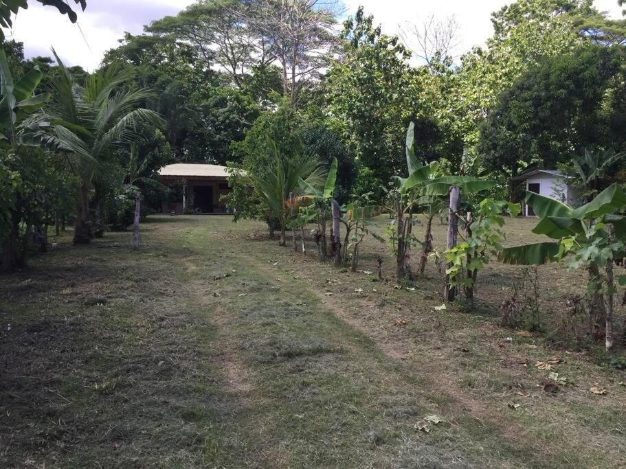 Вілла Casa A 26 Kilometros De Jaco Rodeado De Naturaleza Екстер'єр фото