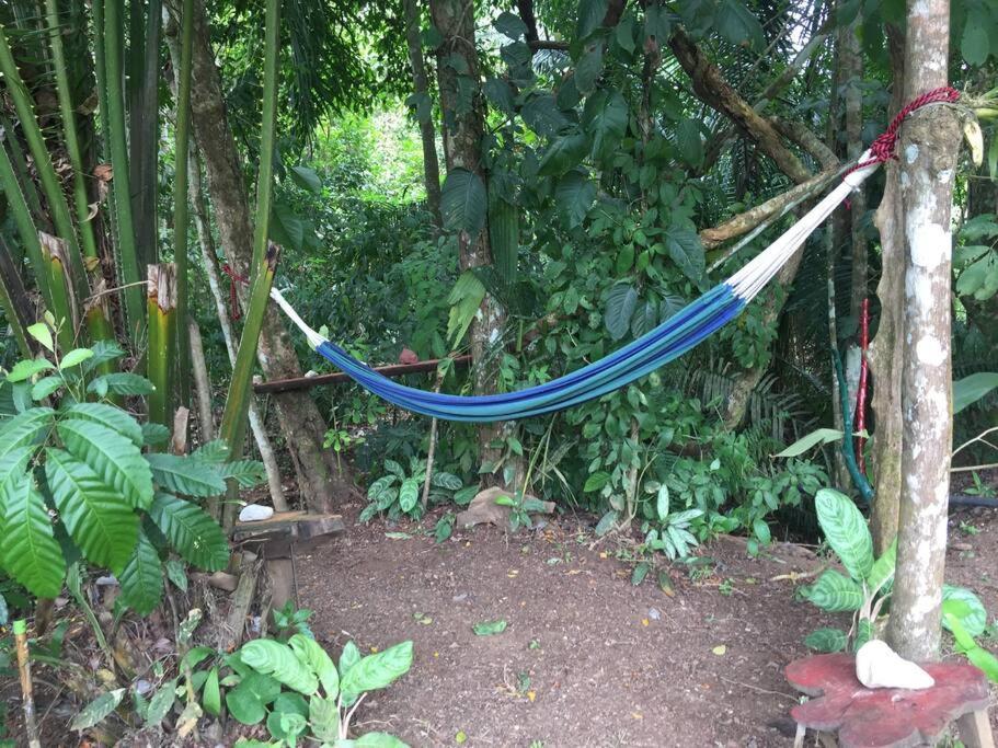 Вілла Casa A 26 Kilometros De Jaco Rodeado De Naturaleza Екстер'єр фото